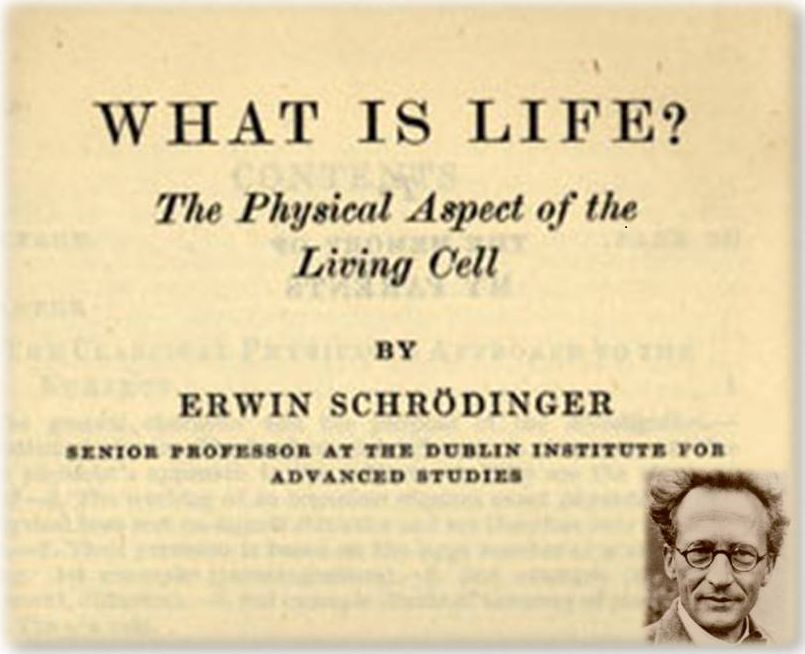 Resultado de imagen de what is life schrodinger